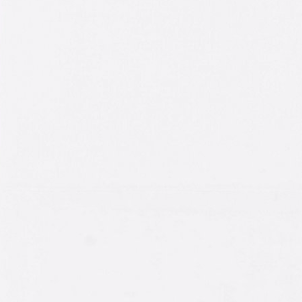 Pine Cone Hill Cozy Cotton Bedding - White